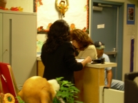 Helping Parent